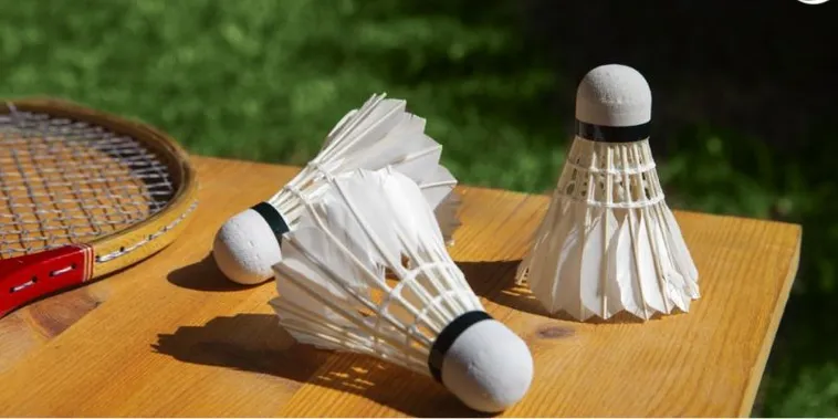 Cách Chơi Cá Cược Cầu Lông Tại 188Bet Để Rinh Quà Khủng Về Nhà Ngay