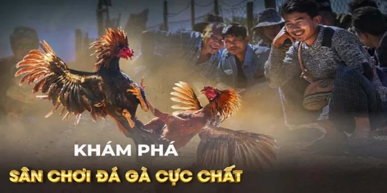 Khám Phá Cách Chơi Đá Gà GA28 Tại 188Bet Cho Người Mới
